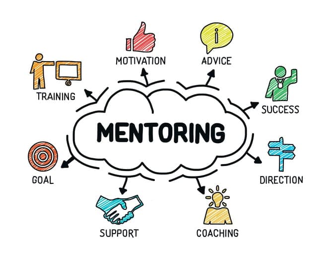 90-Day Mentorship Program